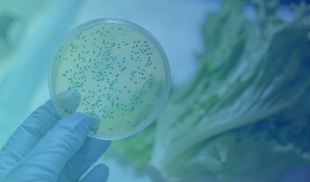 Un consommateur trouve des nuisibles dans votre produit : que faire ?