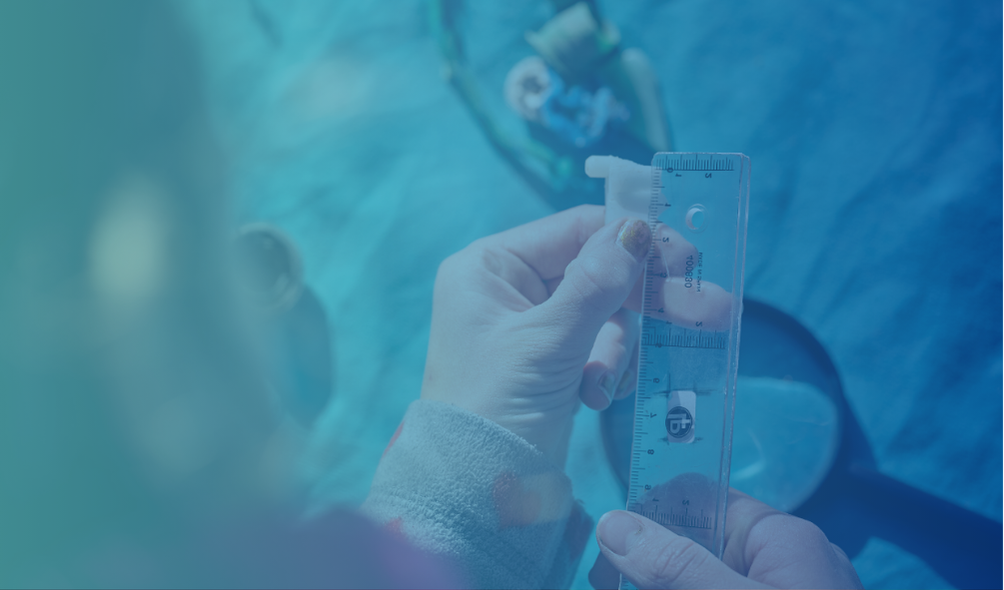 Food Fraud: Wat als jouw product onbedoeld verboden stoffen bevat?